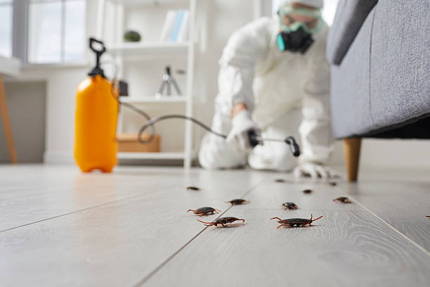 Commercial Rodent Management in Highland Heights